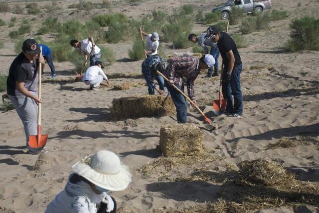 88858cc永利官网学子领衔赴甘肃民勤固沙护林